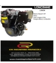 LONCIN Motore Diesel 9 HP 440cc Filtro a bagno d’olio Flangia attacco Lombardini