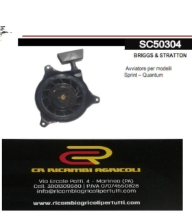 BRIGGS & STRATTON Avviatore per modelli Sprint – Quantum