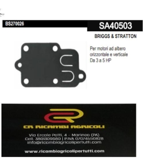 BRIGGS & STRATTON Membrana BRIGGS & STRATTON albero orizzontale e verticale Da 3 a 5 HP