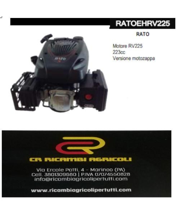 Immagine 0 di RATO Motore RV225 223cc Versione motozappa