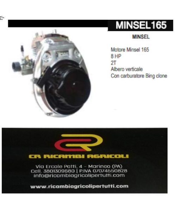 Immagine 0 di MINSEL Motore Minsel 165 8 HP 2T Albero verticale  Con carburatore Bing clone