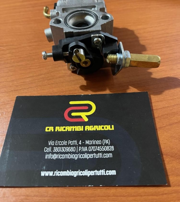 Immagine 5 di CINA Carburatore per Decespugliatore 25 cc Automatico  Foro aspirazione Ø 11